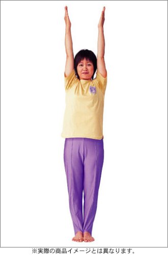 気力充実！健康体操　自彊術　入門編・実践編/ＤＶＤ/NSDX-8926