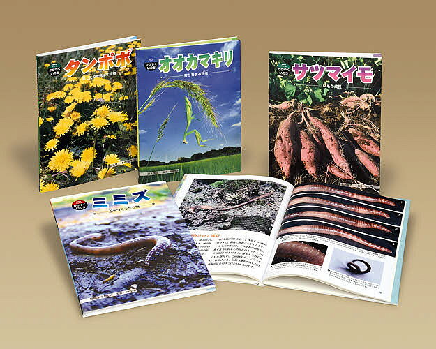 楽天市場】あかね書房 科学のアルバム・虫編（全19巻セット） 新装版