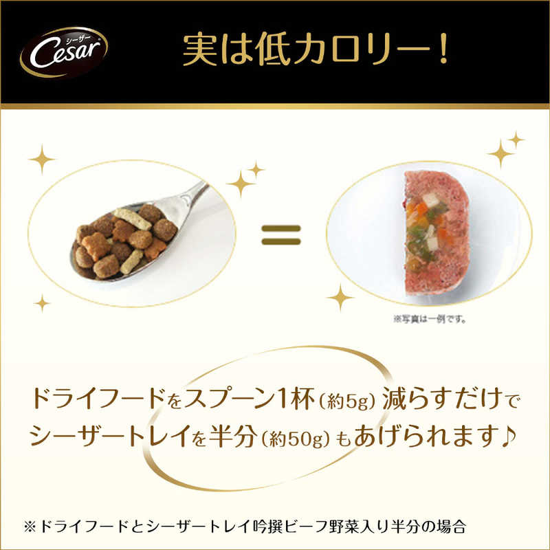 マースジャパンリミテッド ＣＥ２５シーザー吟撰ビーフビーフ１００ｇ