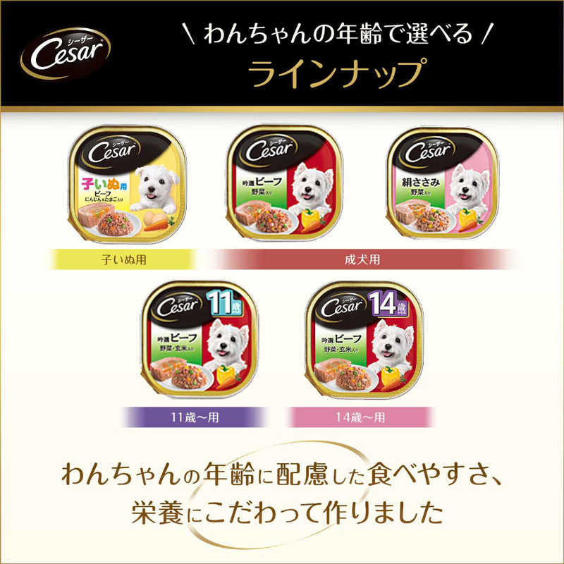 マースジャパンリミテッド ＣＥ２５シーザー吟撰ビーフビーフ１００ｇ