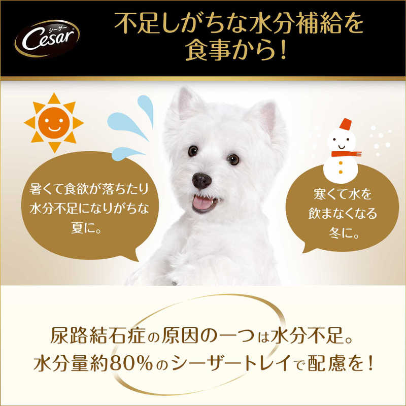 マースジャパンリミテッド ＣＥ２５シーザー吟撰ビーフビーフ１００ｇ