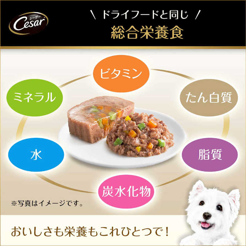 マースジャパンリミテッド ＣＥ２５シーザー吟撰ビーフビーフ１００ｇ