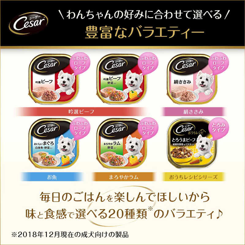 マースジャパンリミテッド ＣＥ２５シーザー吟撰ビーフビーフ１００ｇ