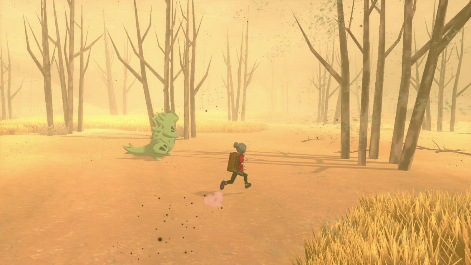 ポケットモンスター シールド/Switch/HACPALZBA/A 全年齢対象