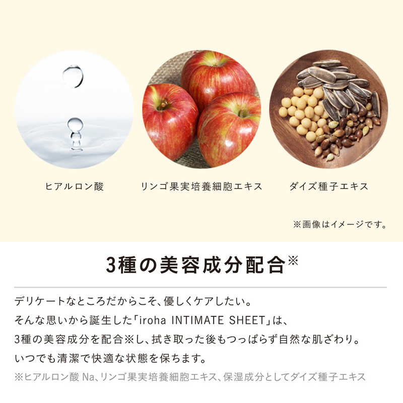 iroha INTIMATE SHEET 10枚