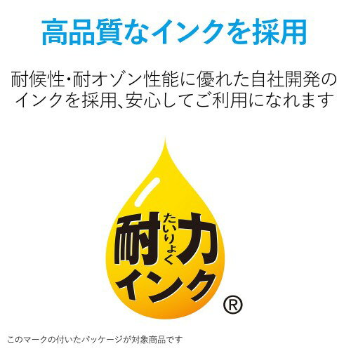 エレコム BC-310用 詰め替えインク CANON ブラック(顔料) 専用工具付属(1セット)