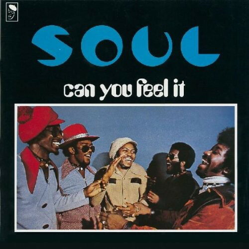 Can You Feel It～ (12 inch Analog) / SOUL