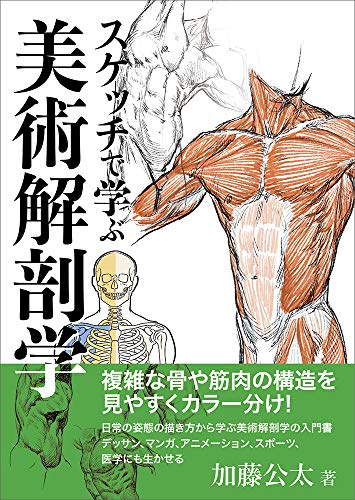 楽天市場】ボーンデジタル スカルプターのための美術解剖学