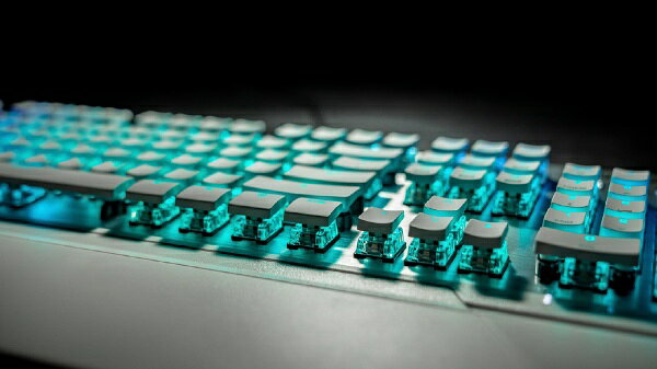 楽天市場】ROCCAT キーボード VULCAN 122 AIMO | 価格比較 - 商品価格ナビ