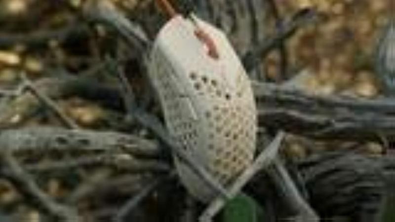 finalmouse ULTRALIGHT2-CAPE TOWN