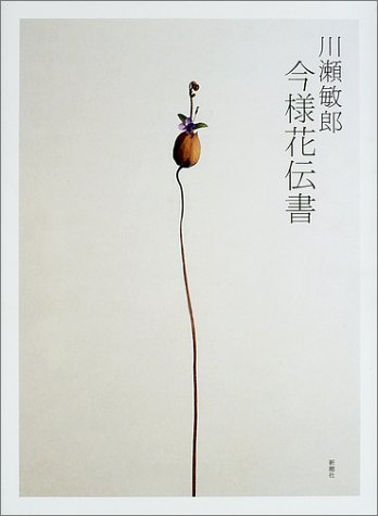 楽天市場】新潮社 今様花伝書/新潮社/川瀬敏郎 | 価格比較 - 商品価格ナビ