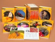 科学のアルバム　虫編　全19巻 楽天市場】あかね書房 科学のアルバム・虫編（全19巻セット