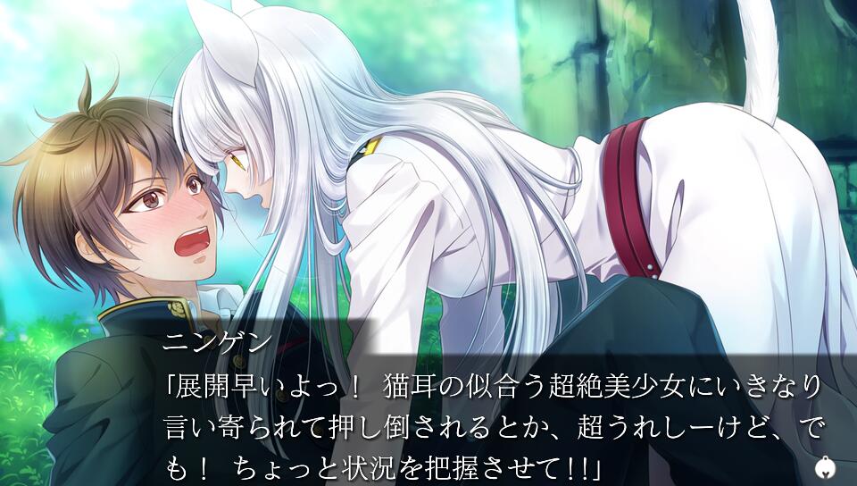 軍靴をはいた猫/Vita/VLJM38154/C 15才以上対象