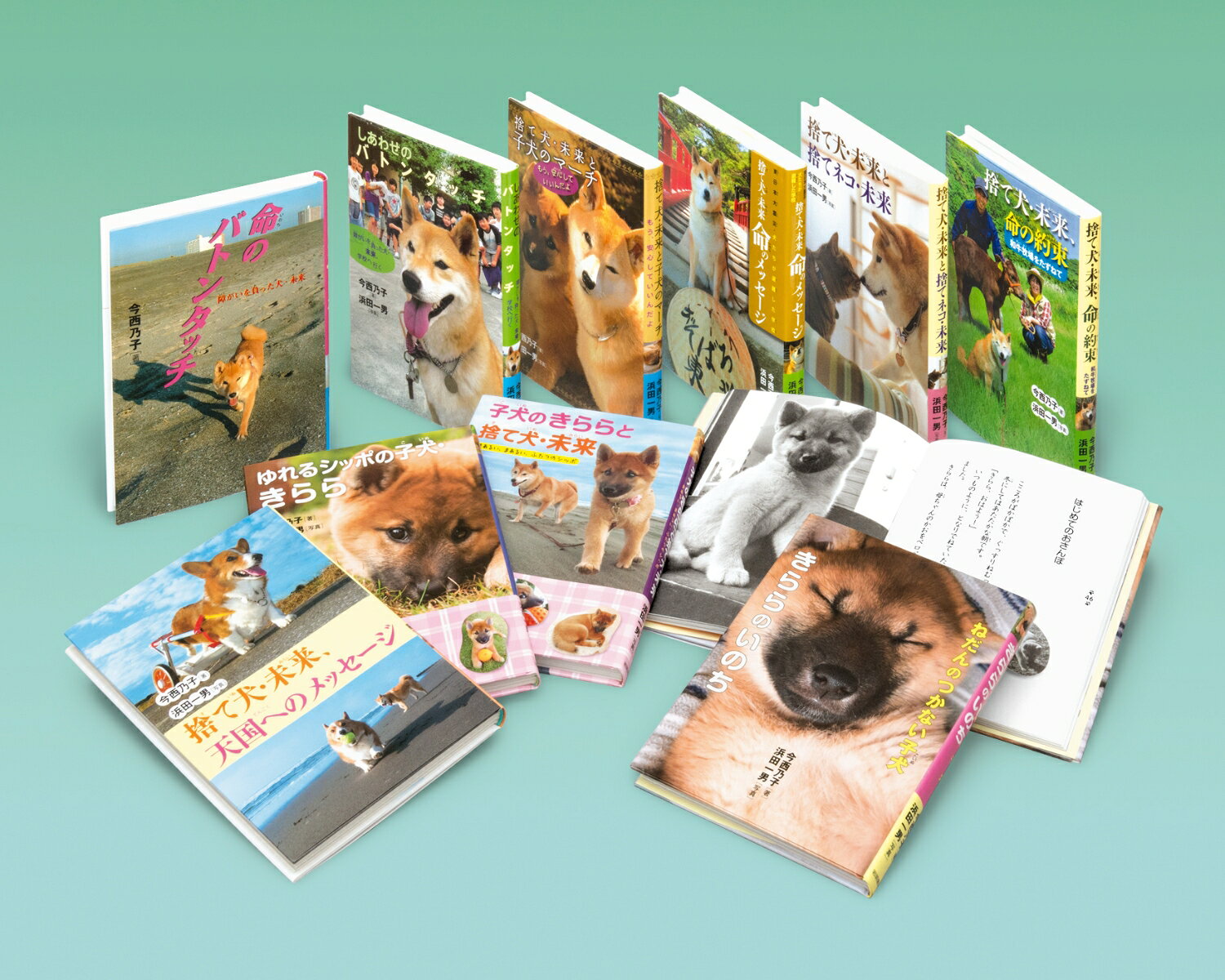 楽天市場】岩崎書店 捨て犬・未来＆きららものがたり（全8巻セット