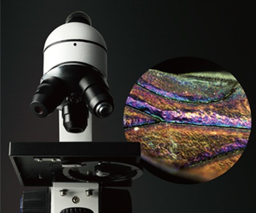 楽天市場】ビクセン Vixen ビクセン 顕微鏡 ミクロナビ S-800 | 価格