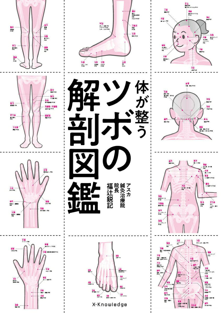 楽天市場】こう書房 決定版人体ツボの科学/こう書房/竹之内診佐夫