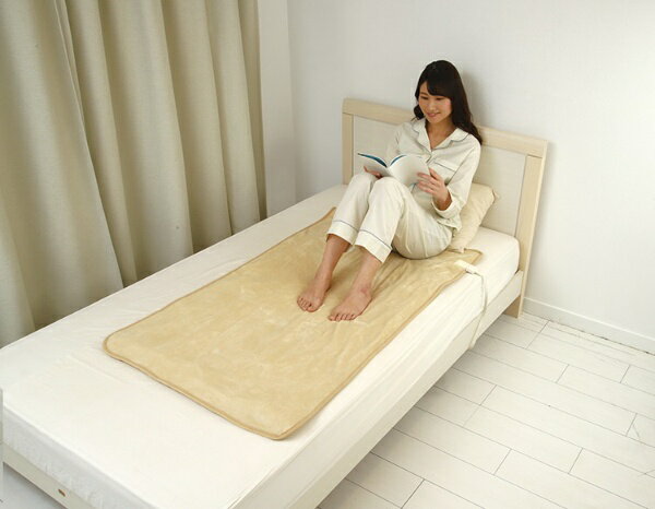 広電 電気毛布 敷タイプ ベージュ CCA554CD