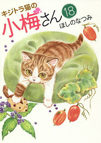 楽天市場】少年画報社 キジトラ猫の小梅さん 5/少年画報社/ほしの