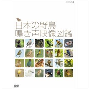 日本の野鳥　鳴き声映像図鑑/ＤＶＤ/NSDS-20706