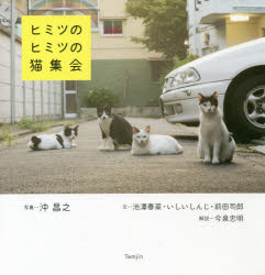 ヒミツのヒミツの猫集会/天夢人/沖昌之