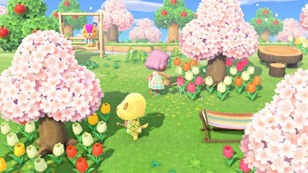 Ｓｗｉｔｃｈ　あつまれ　どうぶつの森　【Ｓｗｉｔｃｈ】