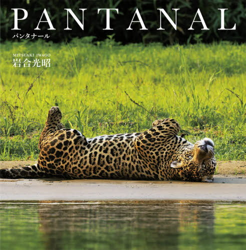 ＰＡＮＴＡＮＡＬ/クレヴィス/岩合光昭