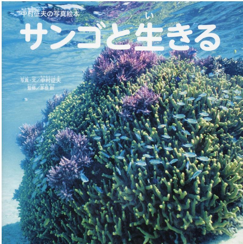 懐かしの紙芝居 丹下左膳 宝壺の巻・第5巻 大空社(作・桃井寅吉