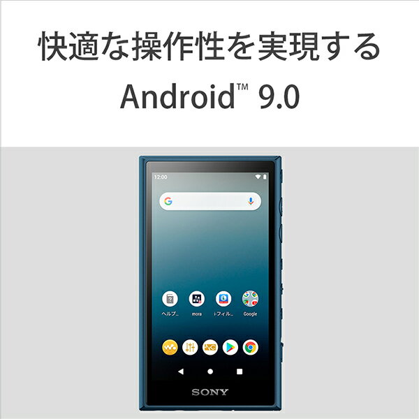 SONY ウォークマン Aシリーズ NW-A106(L)