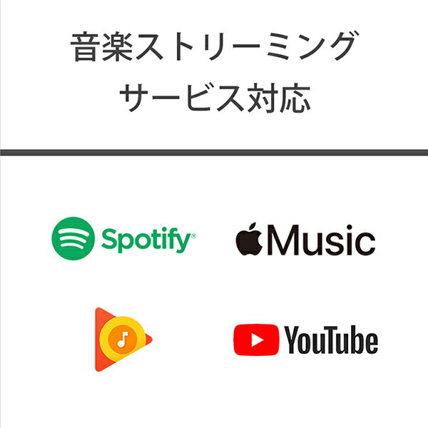 SONY ウォークマン Aシリーズ NW-A106(L)