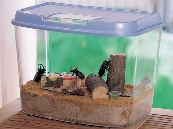 楽天市場】コバエシャッター 大 | 価格比較 - 商品価格ナビ