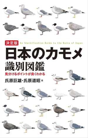 粘菌 驚くべき生命力の謎  /誠文堂新光社/松本淳（粘菌分類学）（大型本） 粘菌: 驚くべき生命力の謎 | 松本 淳, 伊沢 正名 |本 | 通販