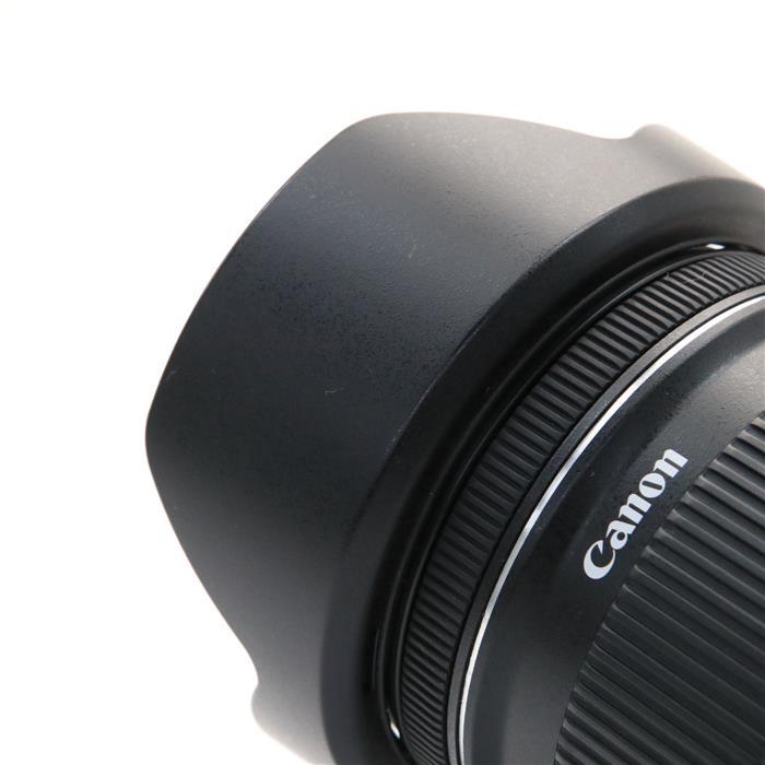 Canon 交換レンズ EF-S10-18F4.5-5.6 IS STM