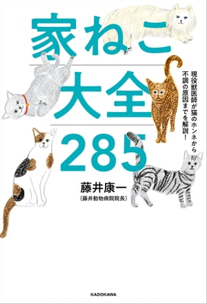 楽天市場】イラストを読む！犬と猫の臨床外科 一次診療いますぐできる