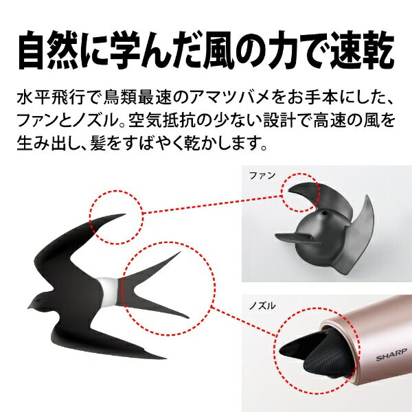 楽天市場】シャープ SHARP プラズマクラスタードライヤー IB-MP9-W