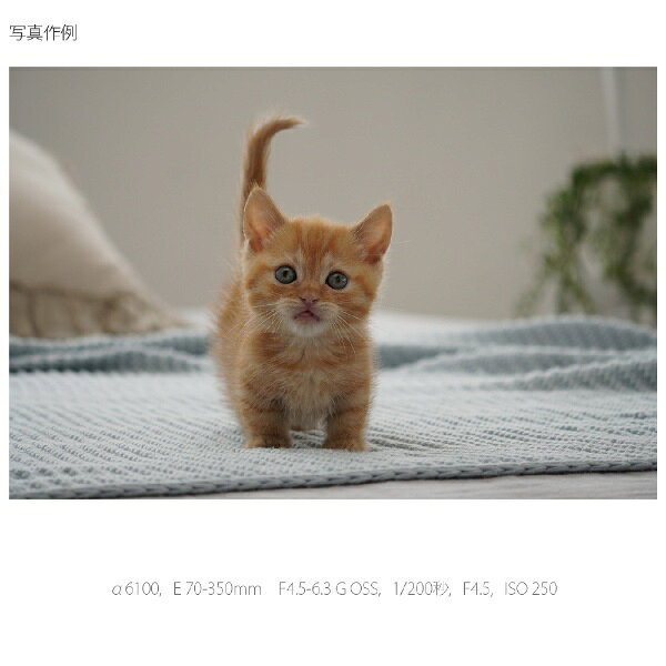 SONY 超望遠ズームレンズ E 70-350F4.5-6.3 G OSS