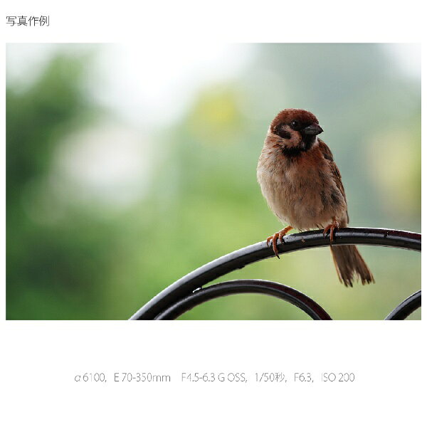 SONY 超望遠ズームレンズ E 70-350F4.5-6.3 G OSS