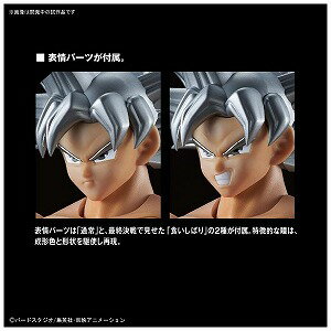 孫悟空　（身勝手の極意）