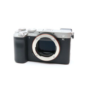 SONY FE 28-60mm F4-5.6