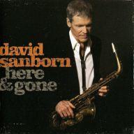 楽天市場】David Sanborn デビッドサンボーン / Anything You Want