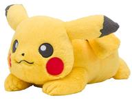 楽天市場】ポケモン ポケモンセンターオリジナル ふわふわ抱き