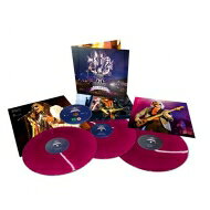 輸入盤 AEROSMITH / ROCKS DONINGTON 2014 LTD 3LP＋DVD