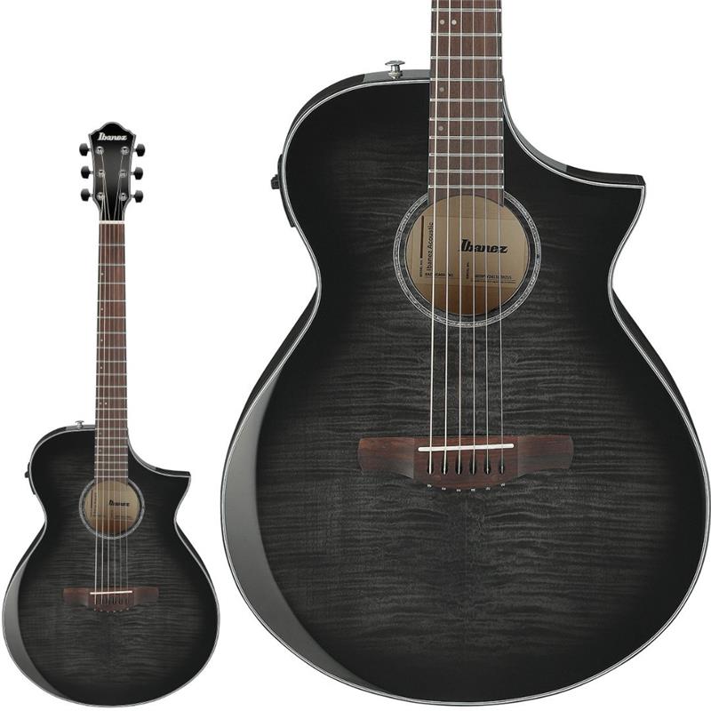 AEWC400-TKS アイバニーズ Ibanez