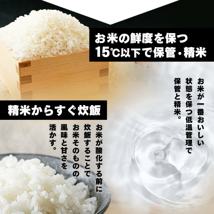 低温製法米のおいしいごはん 国産米100％(150g*6パック)