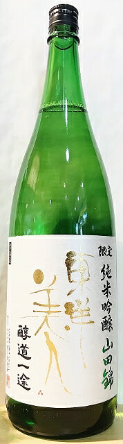 Toyo Bijin 画像 10