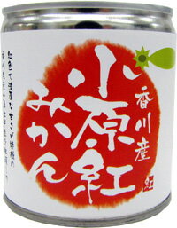 いのうえ果樹園　海辺で育った果実たち　みかん　国産　無添加　ドール　パイン　缶詰 いのうえ果樹園 海辺で育った果実たち みかん 国産 無添加