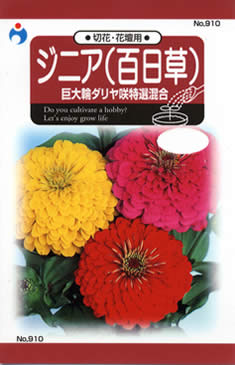 ウタネ ジニア 大輪ダリヤ咲混合 2ml