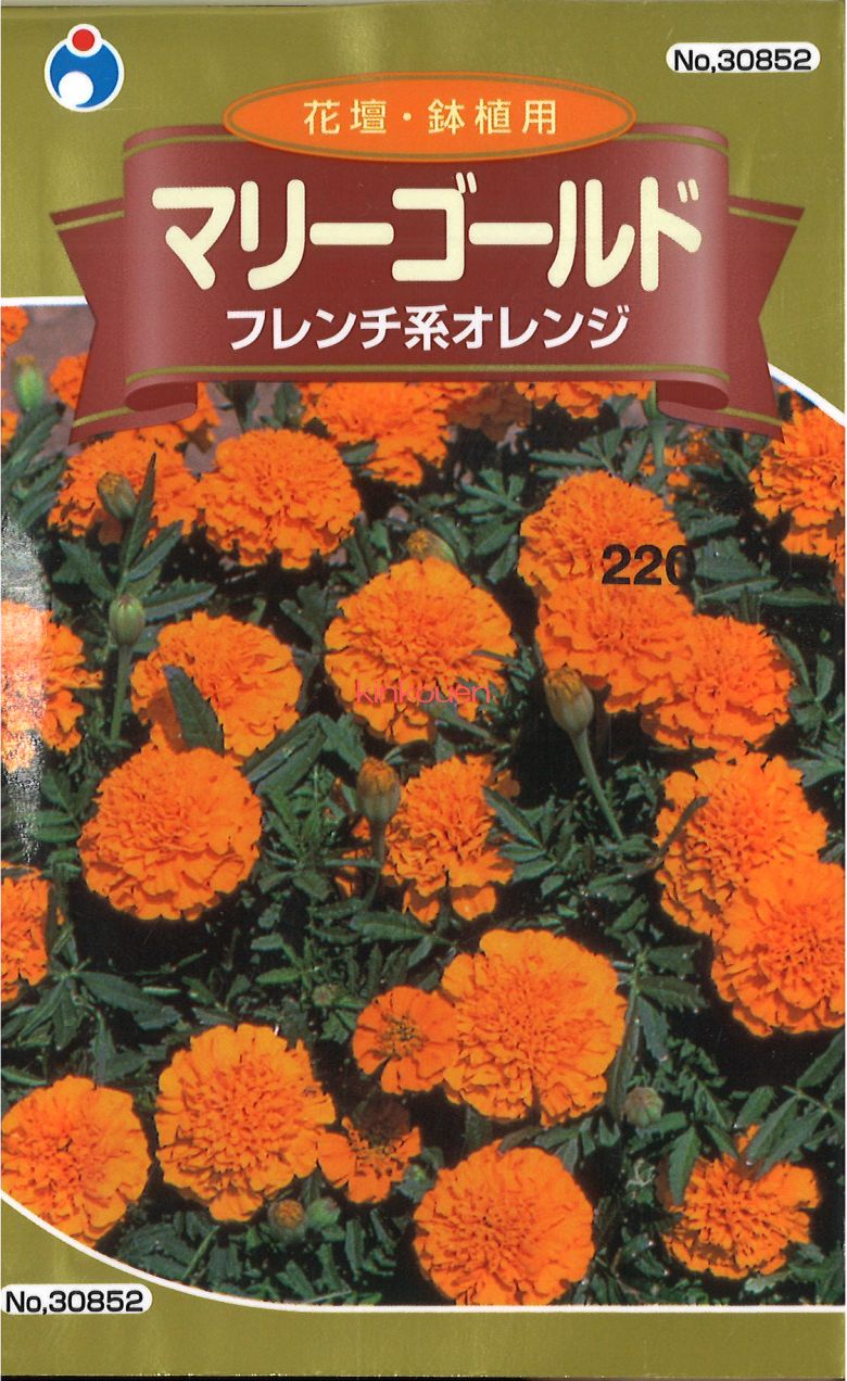 ウタネ マリーゴールドフレンチ系オレンジ 2ml