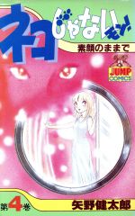 楽天市場】集英社 ネコじゃないモン！ 5/集英社/矢野健太郎（漫画家