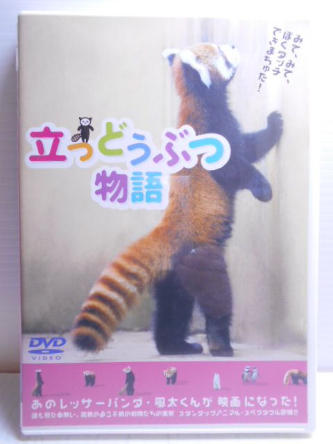 楽天市場】ビジュアル・ケイ 動物大好き！ どうぶつスペシャル100