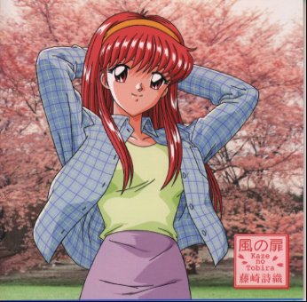 風の扉 CD 藤崎詩織 金月真美 ? 白峰美津子? 金月真美? 秋山奈津? 京えりこ? NOKKO? サンプラザ中野? ふじのマナミ? くまのきよみ? 及川眠子